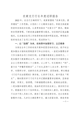 农商支行行长年度述职报告.docx
