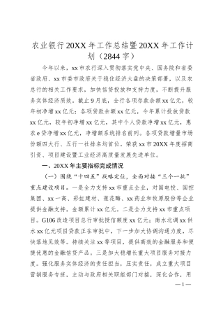 农业银行20XX年工作总结暨20XX年工作计划.docx