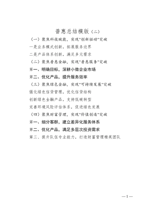 普惠总结模版（二）.docx