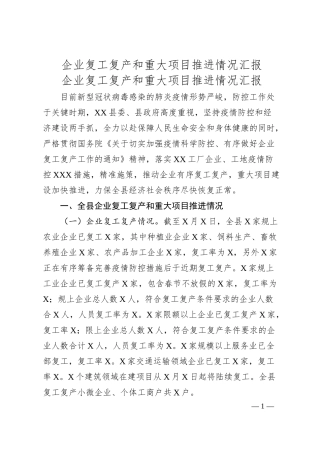 企业复工复产和重大项目推进情况汇报.docx