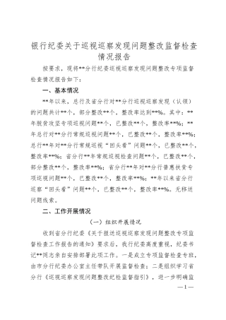 银行纪委关于巡视巡察发现问题整改监督检查情况报告1900字（总结）.docx