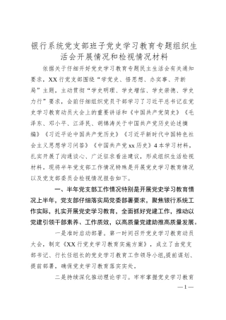 银行系统党支部班子党史学习教育专题组织生活会开展情况和检视情况材料.docx