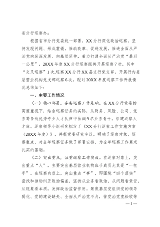 银行巡察工作开展情况总结报告.docx