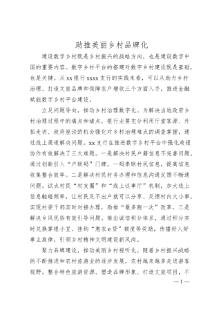 银行助推美丽乡村品牌化经验材料.docx