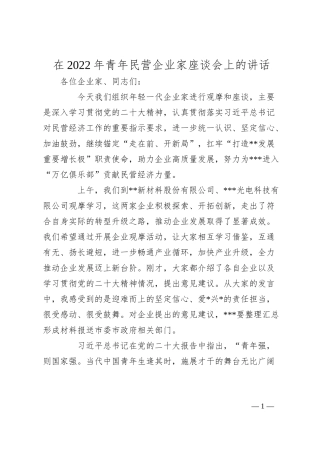 在20XX年青年民营企业家座谈会上的讲话.docx
