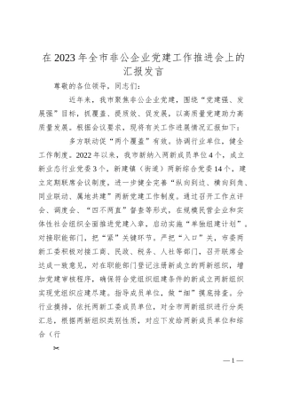 在20XX年全市非公企业党建工作推进会上的汇报发言.docx