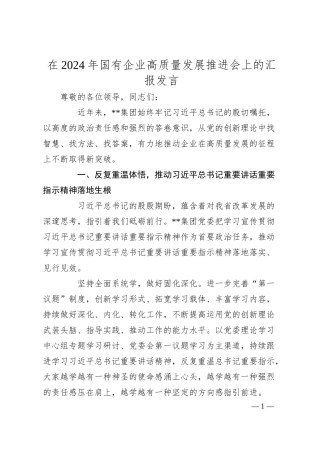 在2024年国有企业高质量发展推进会上的汇报发言.docx