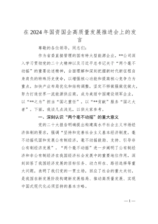 在2024年国资国企高质量发展推进会上的发言.docx