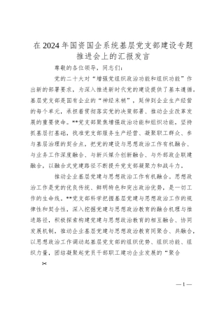 在2024年国资国企系统基层党支部建设专题推进会上的汇报发言.docx