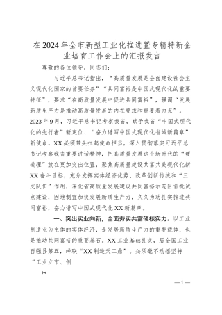 在2024年全市新型工业化推进暨专精特新企业培育工作会上的汇报发言.docx