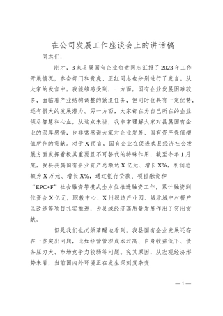 在公司发展工作座谈会上的讲话稿.docx