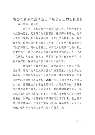 在公司青年思想政治工作座谈会上的汇报发言.docx