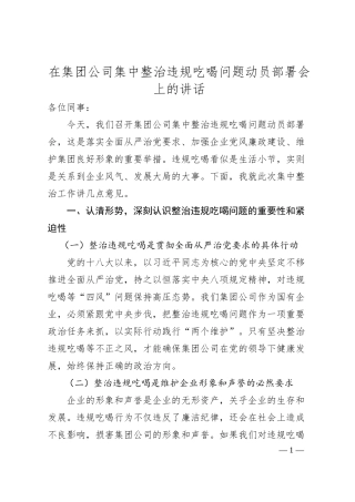 在集团公司集中整治违规吃喝问题动员部署会上的讲话.docx