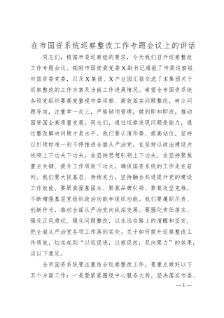 在市国资系统巡察整改工作专题会议上的讲话.docx