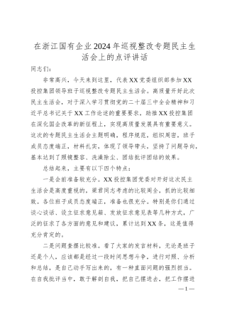 在浙江国有企业2024年巡视整改专题民主生活会上的点评讲话.docx