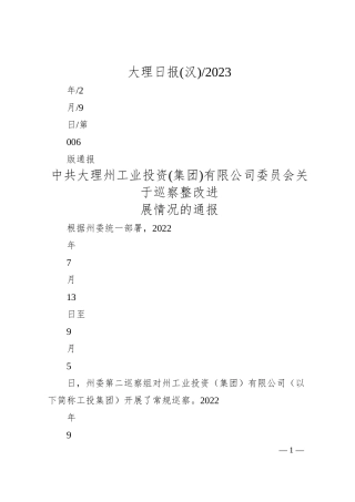 中共大理州工业投资(集团)有限公司委员会关于巡察整改进展情况的通报.docx