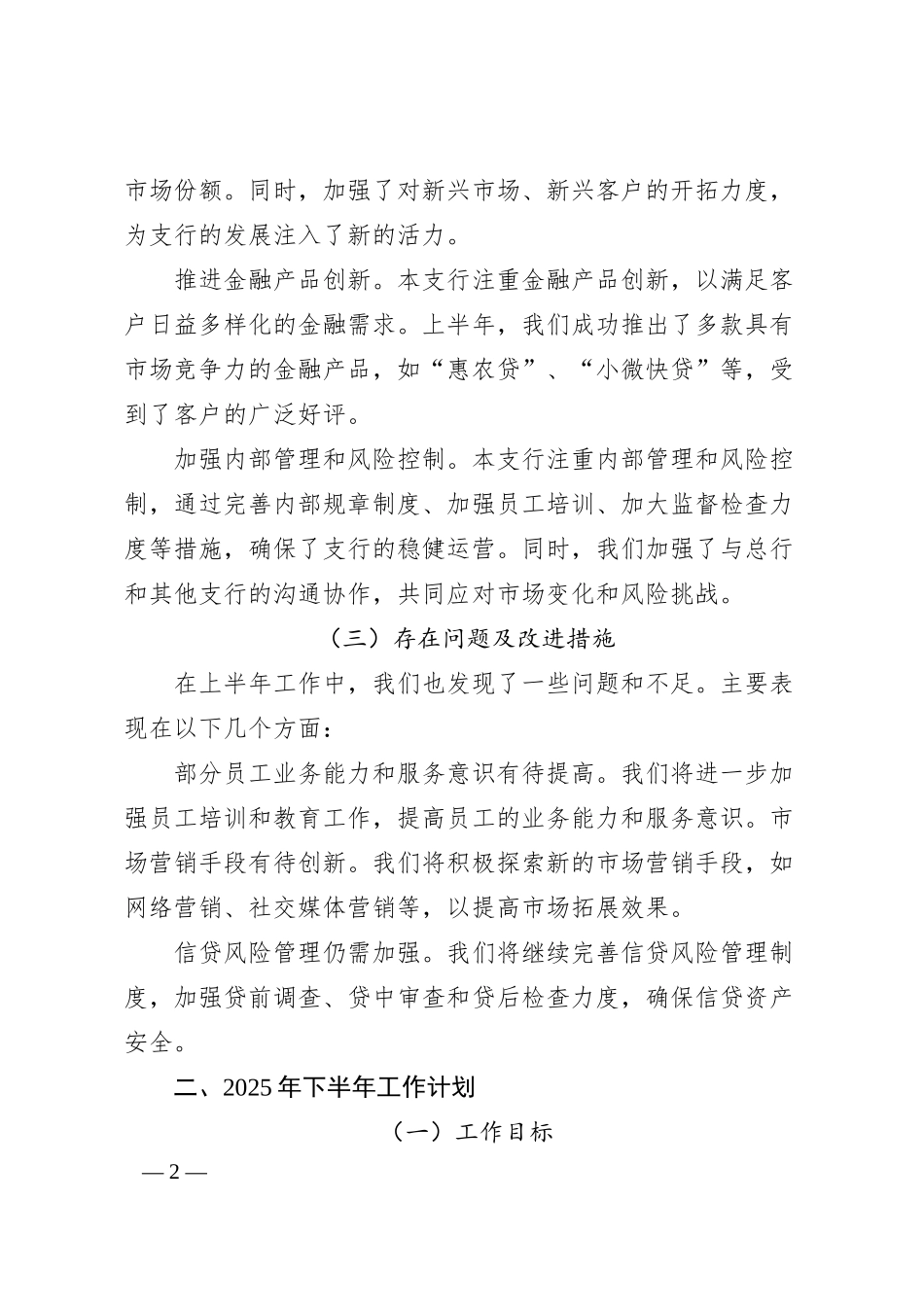 中国农业银行某某支行2025年上半年工作总结与下半年工作计划.docx_第2页