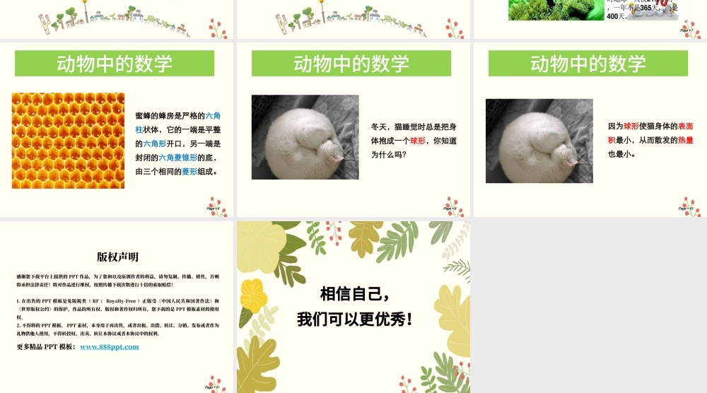 小学数学开学第一课 PPT.pptx