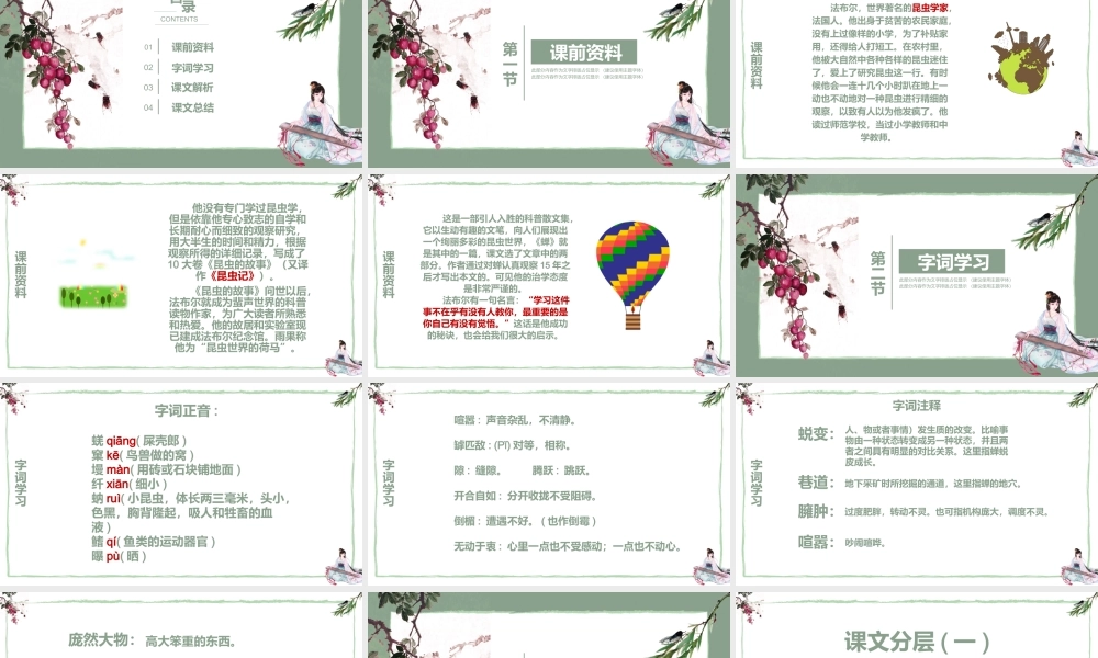 小学四年级上册PPT课件范本-蝉.pptx