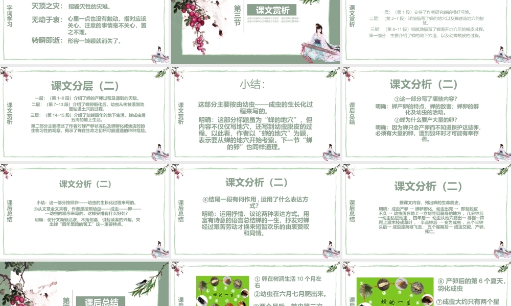 小学四年级上册PPT课件范本-蝉.pptx