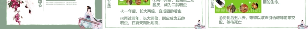 小学四年级上册PPT课件范本-蝉.pptx