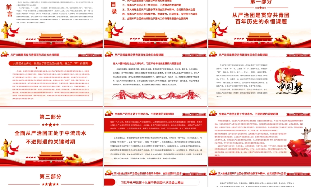 以自我革命精神深入推进全面从严治团.pptx