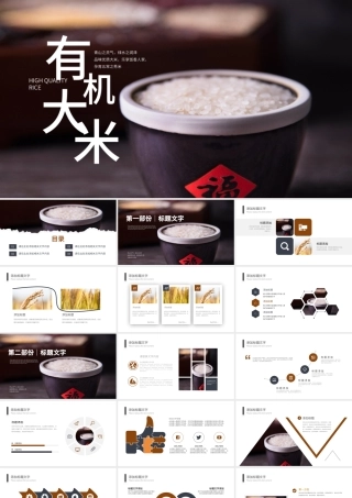 原创稻田水稻有机绿色大米农业丰收PPT模板-版权可商用.pptx