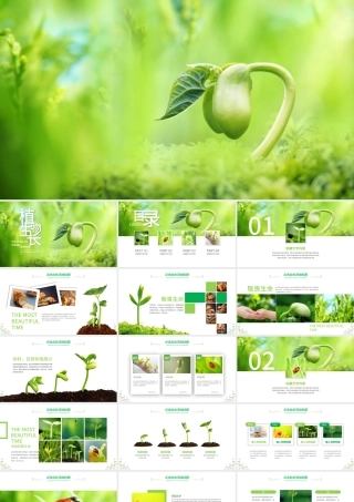 原创开场视频小树苗生长发芽成长春天ppt模板-版权可商用.pptx