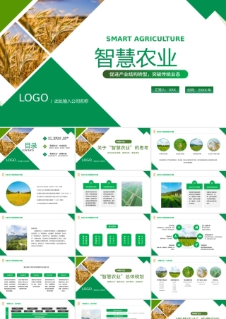 智慧农业PPT绿色大气促进产业结构转型智慧农业规划模板.pptx