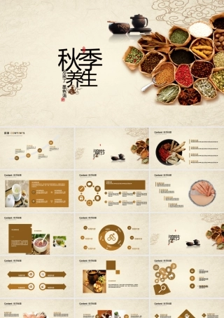 中国风秋季养生健康医疗展板.pptx