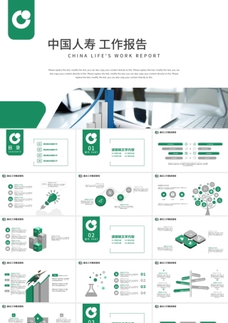中国人寿保险工作报告计划PPT.pptx