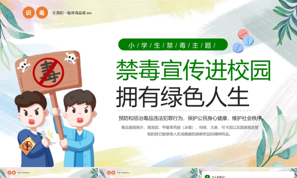 中小学禁毒宣传进校园拥有绿色人生PPT简约风禁毒宣传课件.pptx