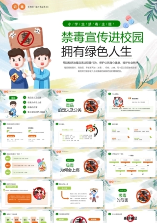 中小学禁毒宣传进校园拥有绿色人生PPT简约风禁毒宣传课件.pptx