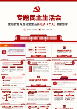 专题民主生活会检视剖析.pptx
