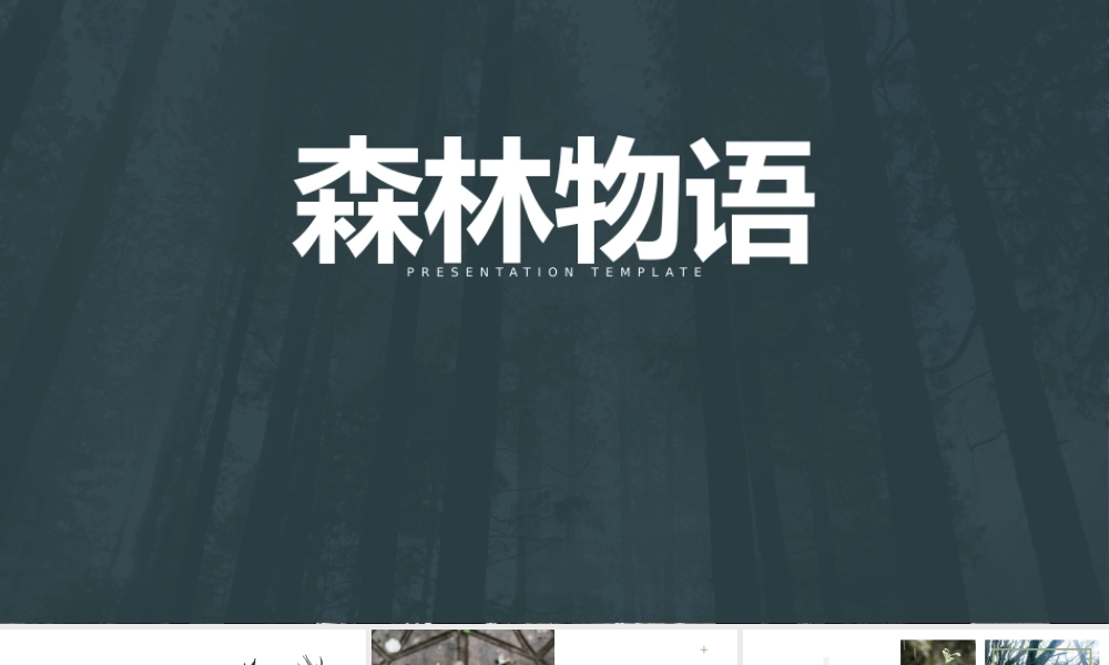 1__森林物语（请使用PPT2010以上版本打开）.pptx