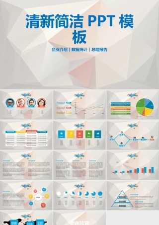 228清新简洁企业介绍数据统计总结报告PPT模板.pptx
