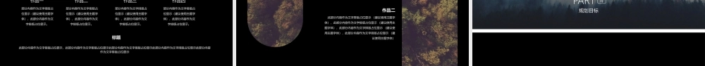 594dc4c2044e5.pptx