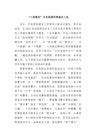 “XXX”正衣冠清风两袖为人民.docx