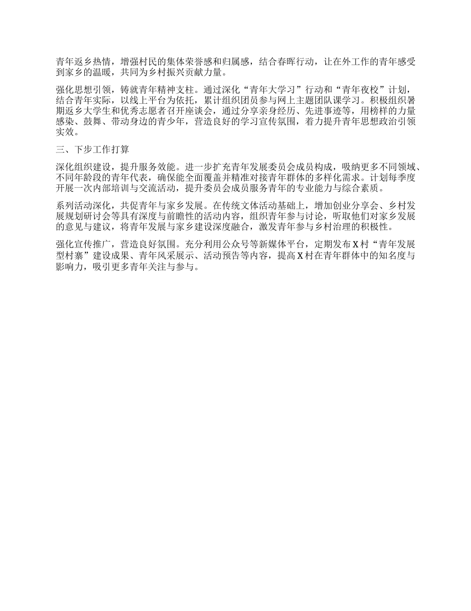 “青年发展型村寨”工作开展情况报告.docx_第2页