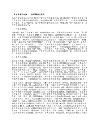 “青年发展型村寨”工作开展情况报告.docx