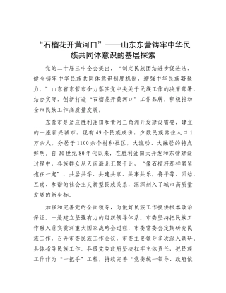 “石榴花开黄河口”——山东东营铸牢中华民族共同体意识的基层探索.docx