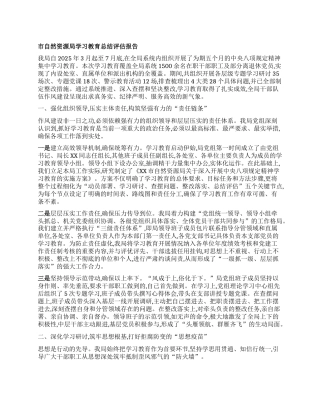 【团队精品】市自然资源局学习教育总结评估报告.docx