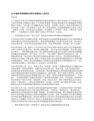 【团队精品】在XX镇林草图斑整改补植补造调度会上的讲话.docx