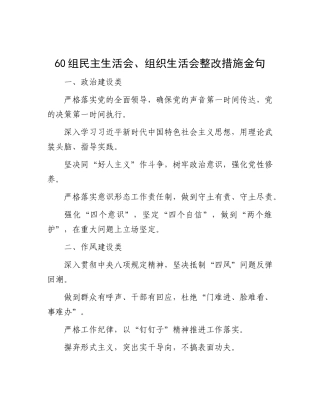 60组民主生活会、组织生活会整改措施金句.docx