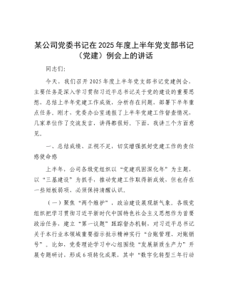 某公司X委书记在2025年度上半年X支部书记（X建）例会上的讲话.docx