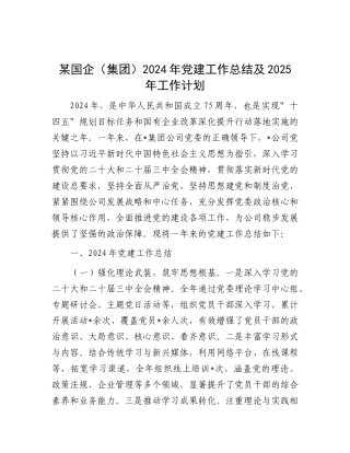 某国企（集团）2024年X建工作总结及2025年工作计划.docx