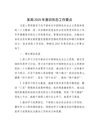 某局2025年意识形态工作要点【灼灼文库】.docx