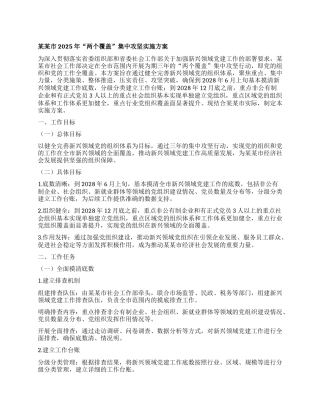 某某市2025年“两个覆盖”集中攻坚实施方案.docx