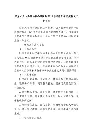 某某市人力资源和社会保障局2025年巡察反馈问题整改工作方案.docx
