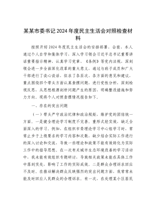 某某市委书记2024年度民主生活会对照检查材料.docx